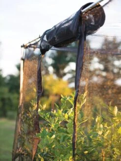 Storm Proof Crop Cage, Large -Garden Tool Store 8592463 115 tif