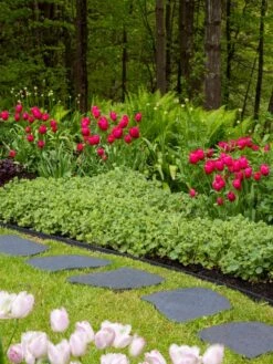 Recycled Rubber Flagstone Stepping Stone -Garden Tool Store 8594282 518 tif