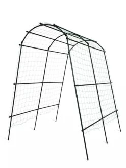 Titan Squash Tunnel -Garden Tool Store 8596276 3992 tif