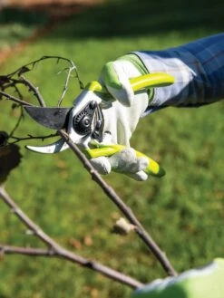 Gardener's Pro Pruner #2 -Garden Tool Store 8596605 032 tif