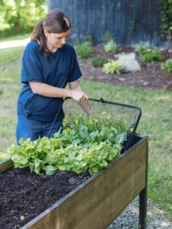 Pop-Up Bird Netting -Garden Tool Store 8596764 PopUpBirdNetting gif