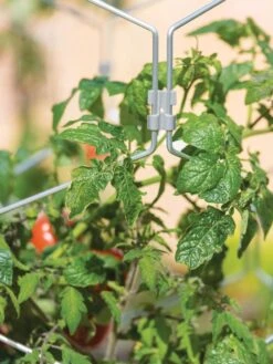 Gardener's Vertex Lifetime Tomato Cage -Garden Tool Store 8598426 0011 tif