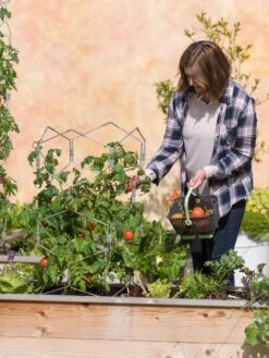 Gardener's Vertex Lifetime Tomato Cage -Garden Tool Store 8598426 0026 tif