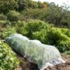 Insect Protection Tunnel -Garden Tool Store 8598536 8225 tif