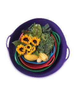 Colorful Tubtrug, 3-1/2 Gallon -Garden Tool Store 8599088 20GalTubTrug gif 1