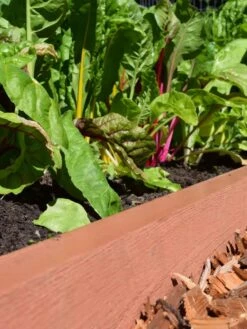 Straight Landscape Edging Kit With 2" Boards -Garden Tool Store 8599408 02V tif