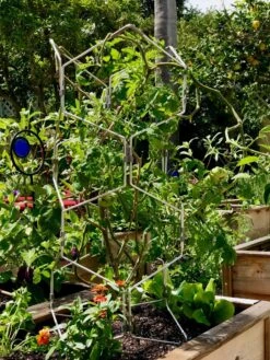 Gardener's Vertex Lifetime Pepper And Eggplant Cage 13 Gardener's Vertex Lifetime Pepper And Eggplant Cage -Garden Tool Store 8599554 01CUST tif