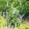 Gardener's Vertex Lifetime Pepper And Eggplant Cage 1 Gardener's Vertex Lifetime Pepper And Eggplant Cage -Garden Tool Store 8599554 3000 tif