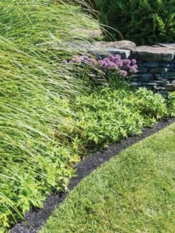 Recycled Rubber Mulch Edging, 12’ X 6” -Garden Tool Store 8599854 0897 tif