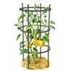 Titan Pepper Eggplant Cages, Set Of 3 -Garden Tool Store 8599859 0001 art tif
