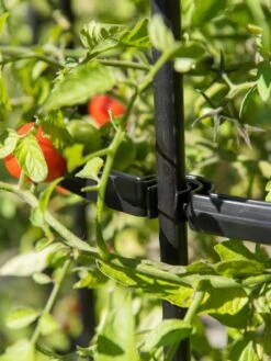 Titan Tomato Cages, Set Of 3 -Garden Tool Store 8599861 0079 tif