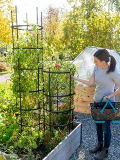 Titan Tomato Cages, Set Of 3 -Garden Tool Store 8599861 0114 tif