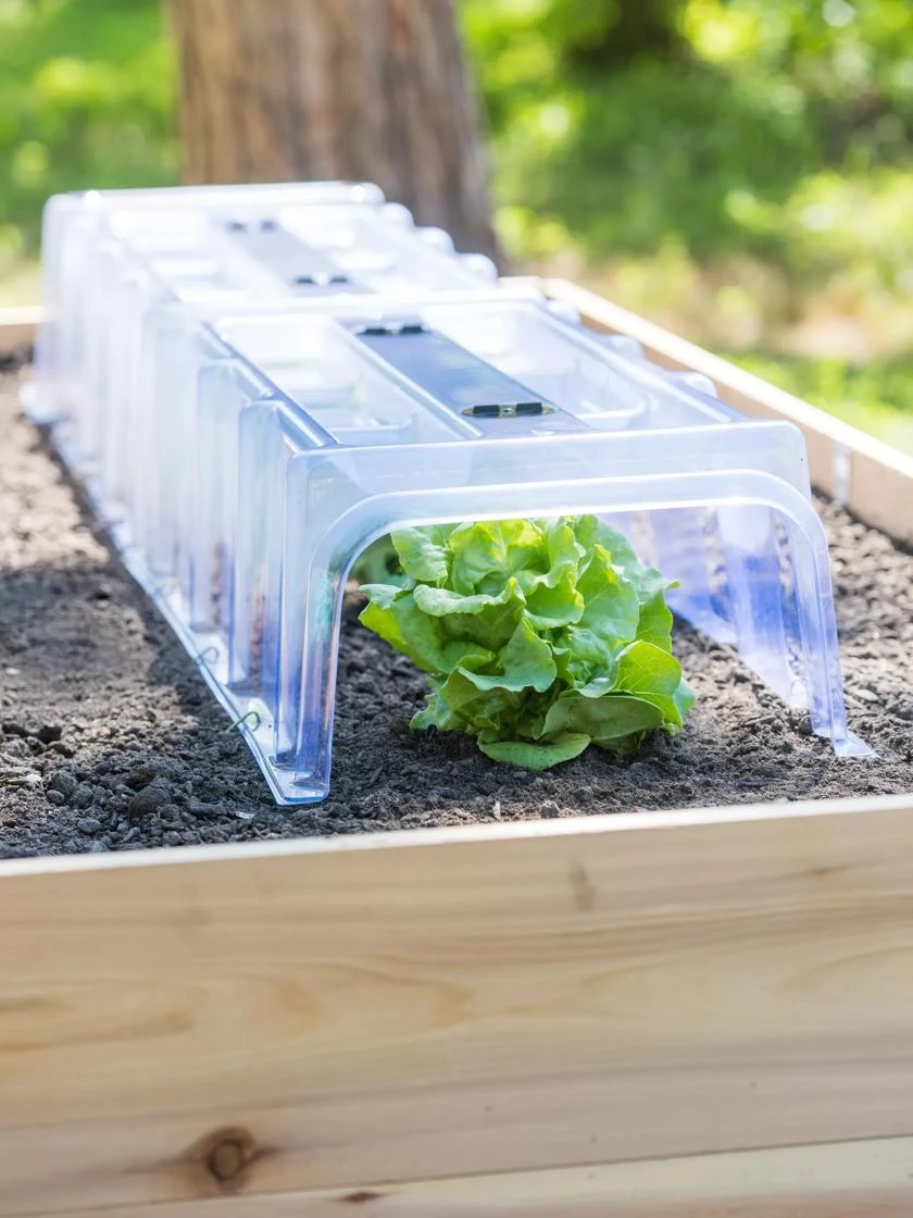 Cool Weather Row Cloche Centers, Set Of 3 4 Cool Weather Row Cloche Centers, Set Of 3 - Image 2