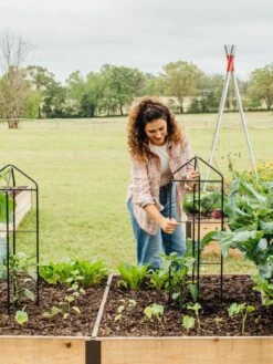 Zenith Folding Garden Supports, Set Of 2 -Garden Tool Store 8600073 324 tif