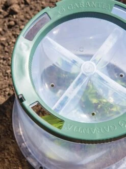 Sunny Forcing Cloches, Set Of 3 -Garden Tool Store 8600075 0742 tif