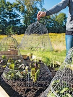 Chicken Wire Cloche With Extension -Garden Tool Store 8600116 0604 3 4
