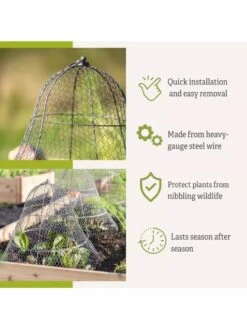 Chicken Wire Cloche With Extension -Garden Tool Store 8600116 3