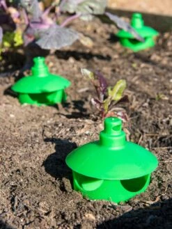 Slug And Snail Traps, Set Of 3 -Garden Tool Store 8600120 1788