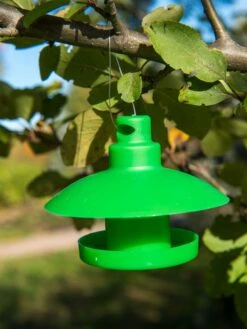 Slug And Snail Traps, Set Of 3 -Garden Tool Store 8600120 1792