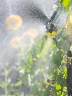 Landscape 4-Way Cooling Mist Kit, 50' -Garden Tool Store 8600154 0695 tif