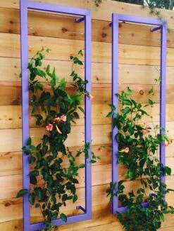 Ina Modern Wall Trellis Sr. -Garden Tool Store 8600510 07V tif
