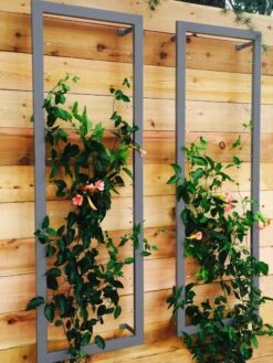 Ina Modern Wall Trellis Sr. -Garden Tool Store 8600510 08V jpg