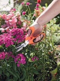Gardener's Multi Purpose Scissors -Garden Tool Store 8608655 19551 tif
