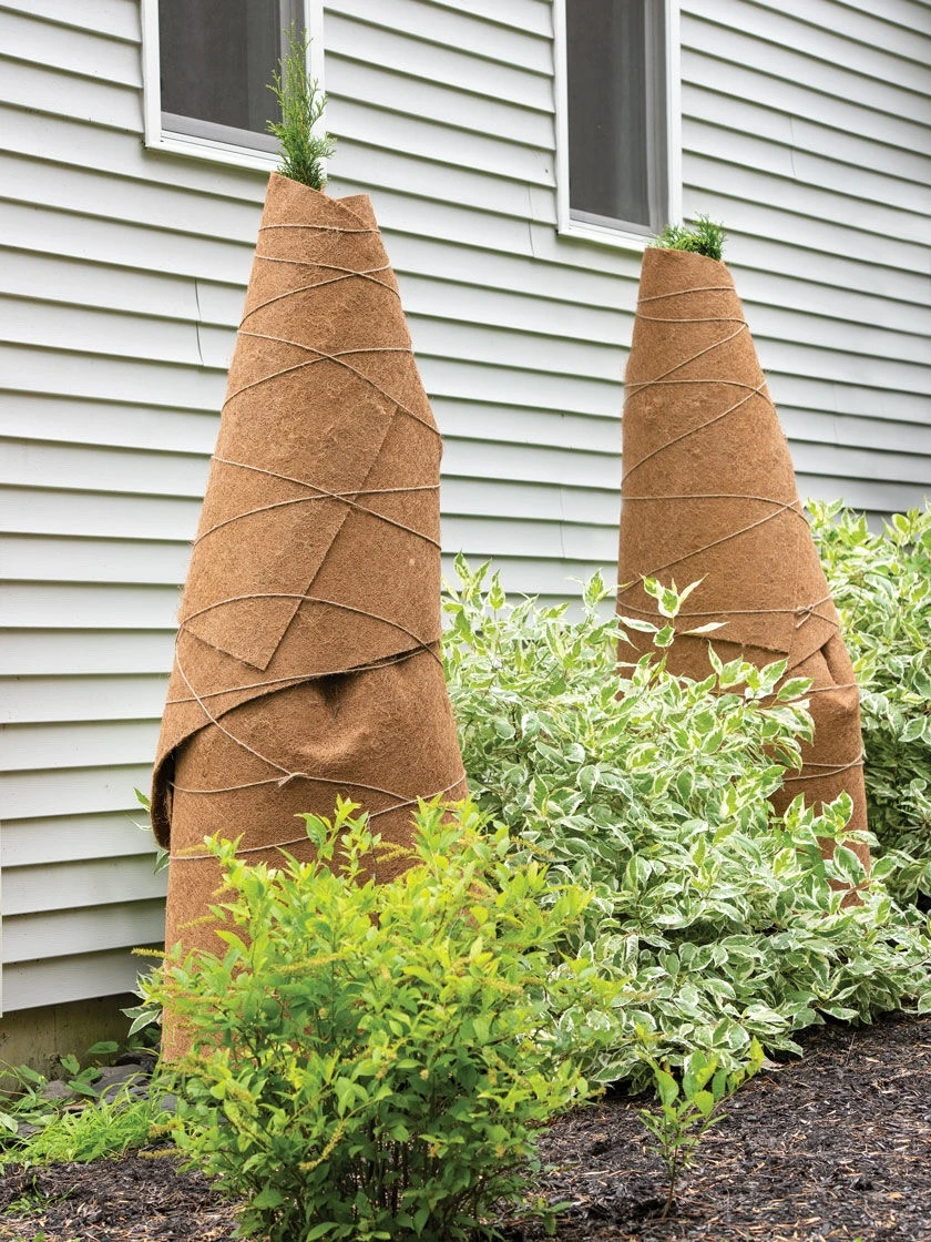 Coir Shrub Wraps 8' X 3', Set Of 2 3 Coir Shrub Wraps 8' X 3', Set Of 2