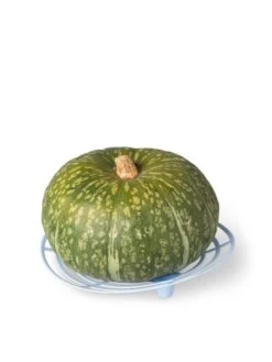 Melon And Squash Cradles, Set Of 6 8 Melon And Squash Cradles, Set Of 6 -Garden Tool Store 8609464 5204 tif