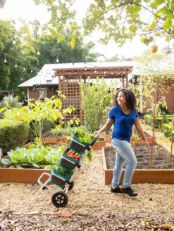 Mod Hod Trolley With Teal Mod Hods -Garden Tool Store 8610240 0070 tif