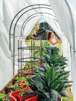 Maxi Garden Hoops With Clips -Garden Tool Store 8610373 377 tif