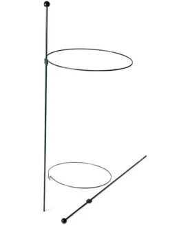 Peacock Classic Plant Support Rings 15", Set Of 2 12 Peacock Classic Plant Support Rings 15", Set Of 2 -Garden Tool Store 8610384 9562 tif