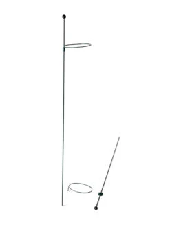 Peacock Mini Plant Support Rings 4", Set Of 2 -Garden Tool Store 8610386 9566