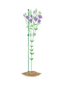 Peacock Mini Plant Support Rings 4", Set Of 2 -Garden Tool Store 8610386 peacock4x36