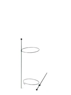 Peacock Mini Plant Support Rings 8", Set Of 2 -Garden Tool Store 8610387 9571 tif