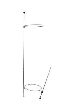 Peacock Mini Plant Support Rings 8", Set Of 2 -Garden Tool Store 8610388 9565 tif