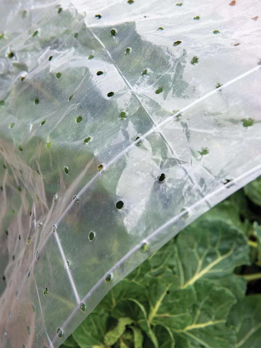 Ventilated Row Cover, 6.5' X 32.5' 3 Ventilated Row Cover, 6.5' X 32.5'