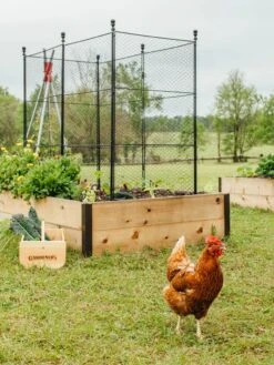 Tall Chicken Wire Critter Fence With Gate -Garden Tool Store 8611020 316 tif