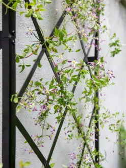 Lattice Gable Wall Trellis 8 Lattice Gable Wall Trellis -Garden Tool Store 8611130 011