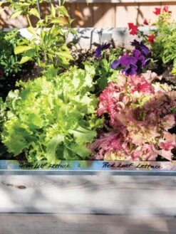 Re-Markable Raised Bed Trim -Garden Tool Store 8611758 306 tif