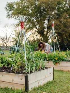 DIY Connector For Teepee Trellis 21 DIY Connector For Teepee Trellis -Garden Tool Store 8611896 38 tif