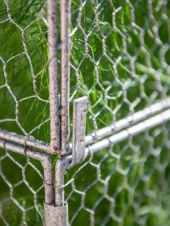 Chicken Wire Crop Coop Extension -Garden Tool Store 8611940 232 tif