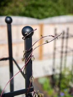 Essex Square Obelisk -Garden Tool Store 8611984 278 tif