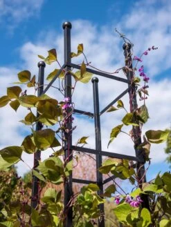 Essex Square Obelisk -Garden Tool Store 8611984 354 tif