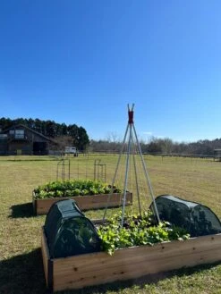 Insect And Pest Net Row Protector -Garden Tool Store 8611985 04 tif