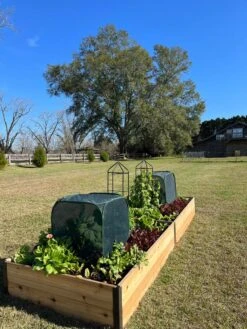 Pest Control Pop-Ups -Garden Tool Store 8611989 08 tif