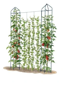Zenith Trellis 9 Zenith Trellis -Garden Tool Store 8612036 art tif