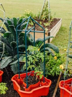 Deluxe Tomato Halos, Set Of 2 -Garden Tool Store 8612045 221 tif