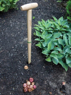 Wicked Big Dibber 10 Wicked Big Dibber -Garden Tool Store 8612667 0028