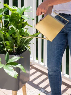 Precision Brass Watering Can -Garden Tool Store 8612691 0011